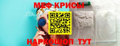 стаф Гатчина