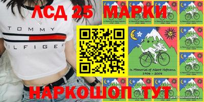 индика Гай
