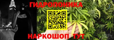 индика Гай