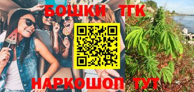 стаф Гатчина