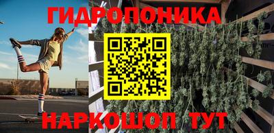 индика Гай