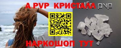 индика Гай
