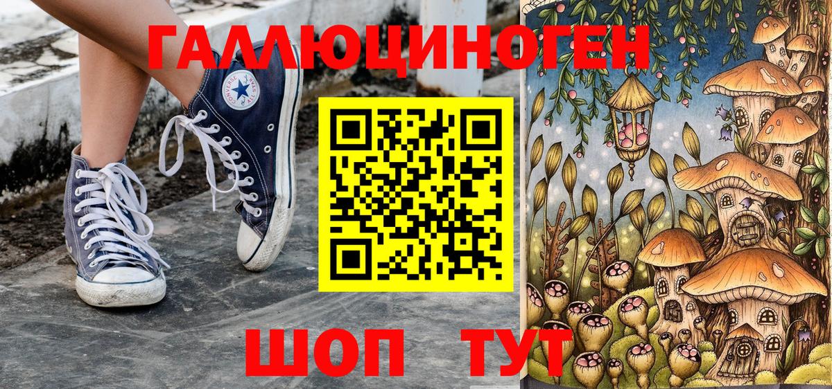 Псилоцибиновые грибы прущие грибы  Вход с VPN  Гатчина 