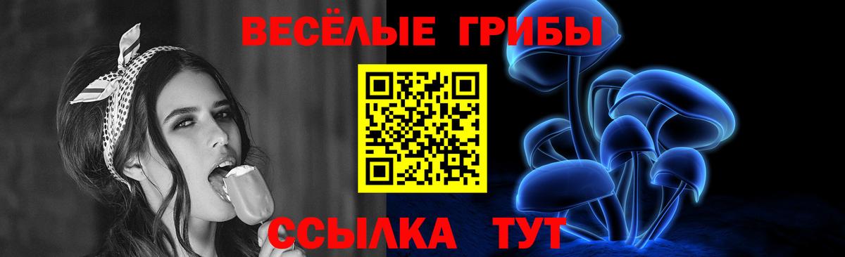 Галлюциногенные грибы GOLDEN TEACHER Гатчина